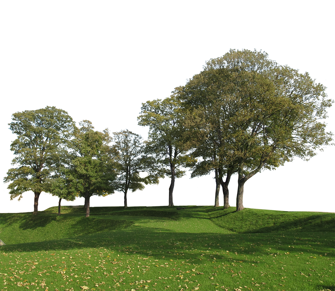 Tree Group — PNG Cutout – Cutout|trees